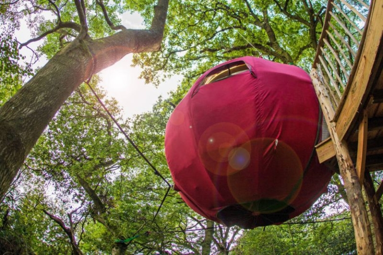 You Can Rent This Spherical Treehouse For 145 8087