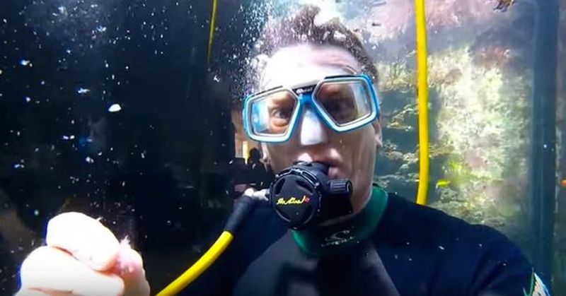 Man builds huge 30,000-liter aquarium to enjoy sea life at home