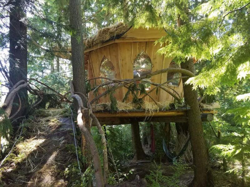 Mountain Views B&B Retreat In Monroe Offers Pot-Friendly Treehouses