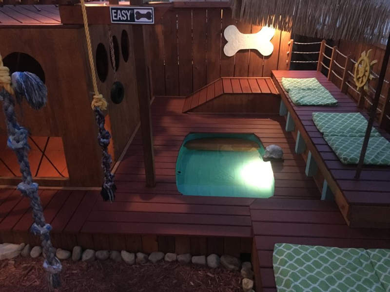 Man builds expansive dog house complete with pool and deck