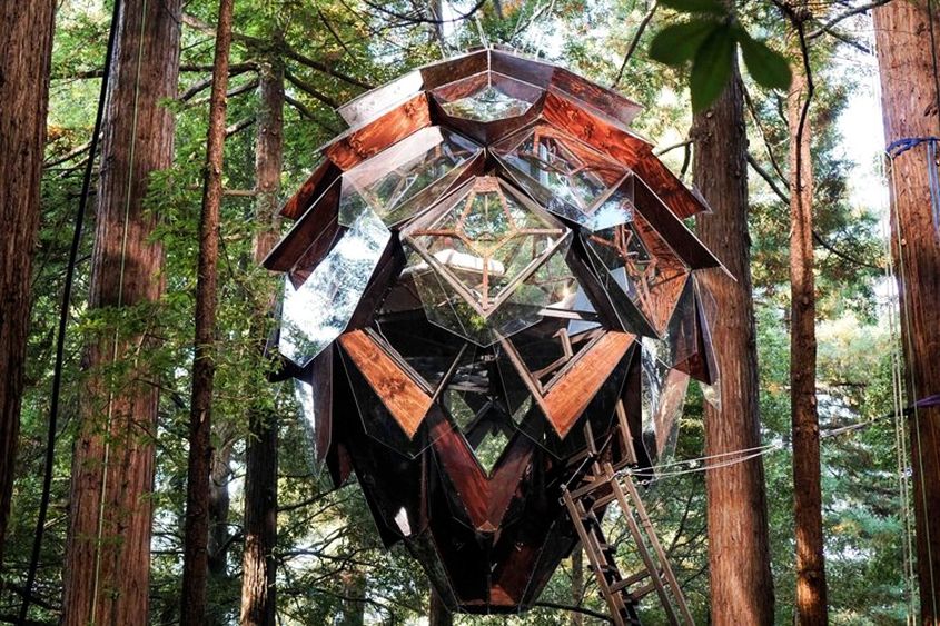 Pinecone Treehouse In California Has See Through Floor