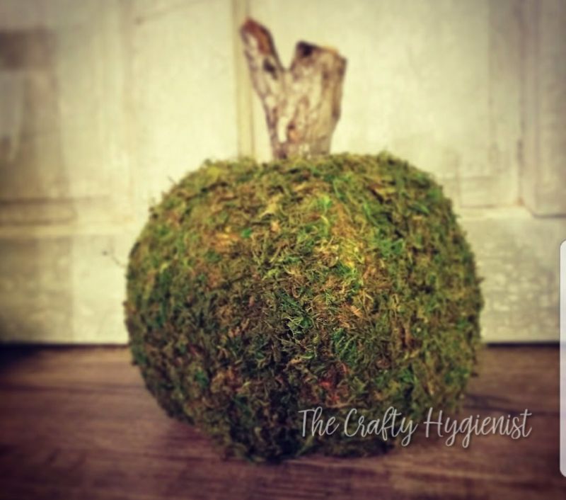 DIY moss pumpkin