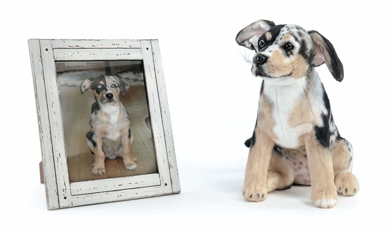 Louisville company 'clones' people's pets as stuffed animals