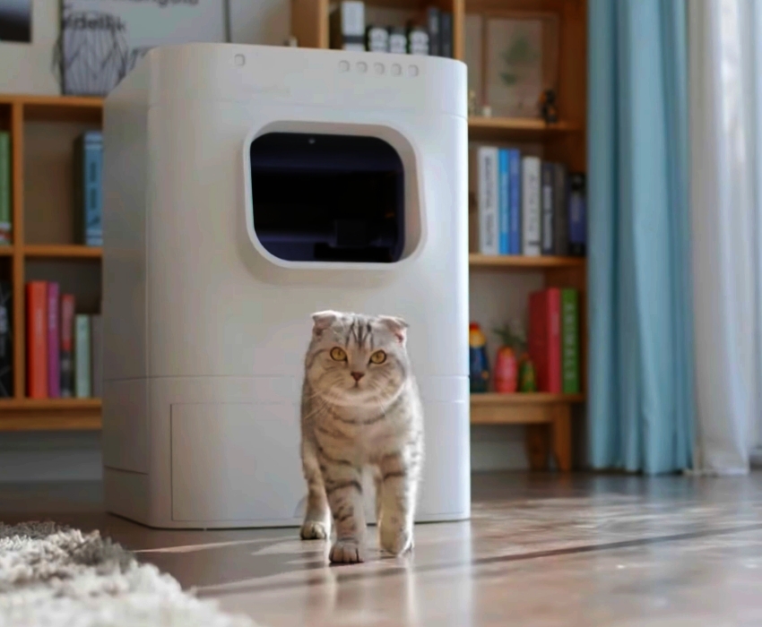 automatic cat litter box amazon