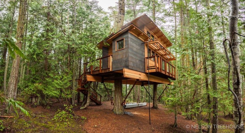 This Treehouse In San Juan Islands Features Fire Pole From Deck