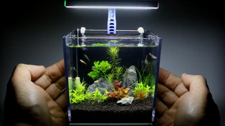 DIYer Makes Mini  Aquarium  with Lighting Filtration and 
