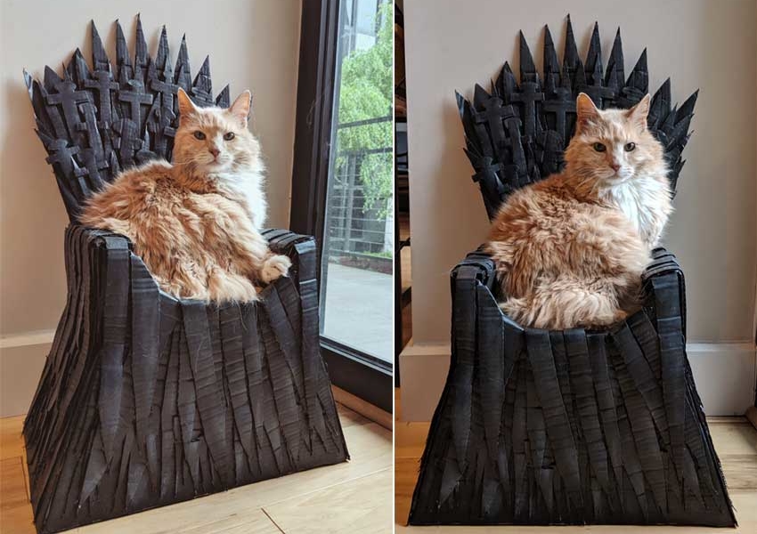 Redditor Builds Cardboard Iron Throne For Her Cat