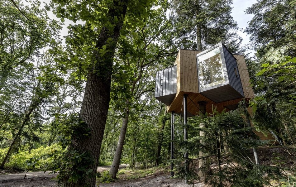 Lovtag Treetop Cabins Near Mariager Fjord In Denmark