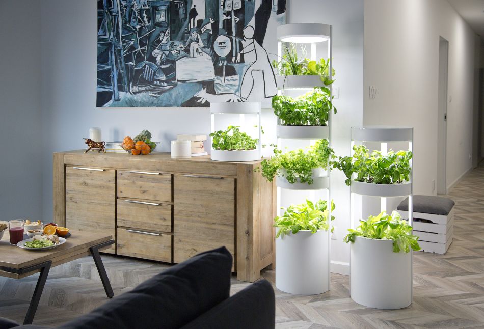 6 Best Hydroponic Systems For Growing Vegetables Indoors