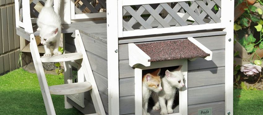 Petsfit Outdoor Cat House with Escape 