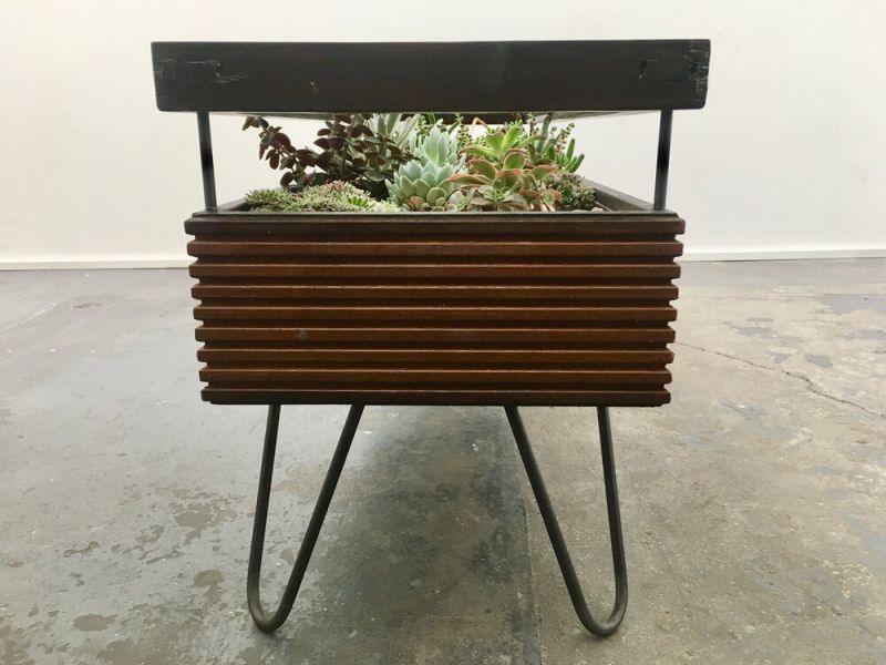 Hackney Botanical Terrarium Tables are made of Reclaimed Wood and Glass