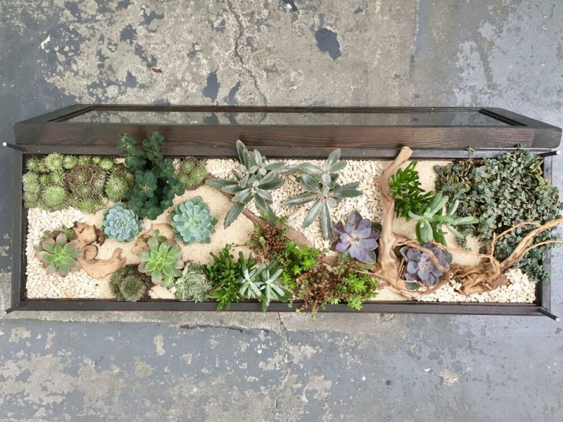 Hackney Botanical Terrarium Tables are made of Reclaimed Wood and Glass